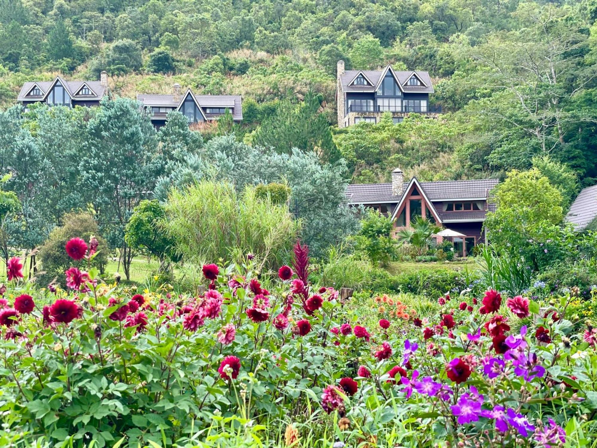 Lat Valley Retreat Village Đà Lạt Ngoại thất bức ảnh